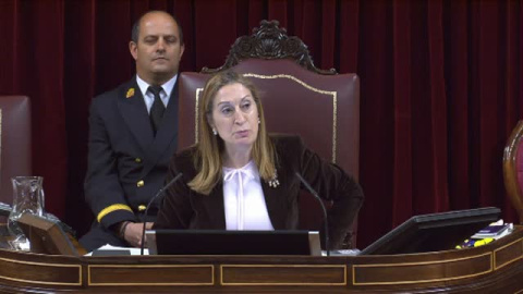Pastor: "Señorías, este hemiciclo no es un tendedero" Pastor: "Señorías, este hemiciclo no es un tendedero"