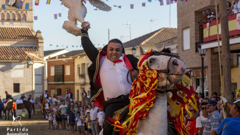 Ganso carpio tajo pacma