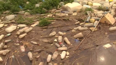 Toneladas de plástico se acumulan en la desembocadura del Segura Toneladas de plástico se acumulan en la desembocadura del Segura