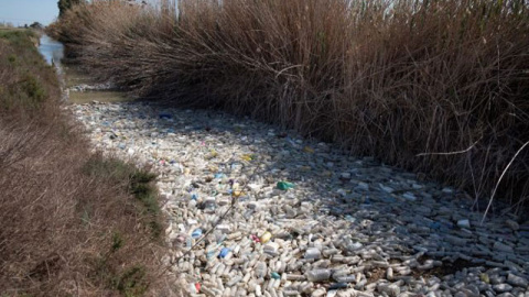 Aspecto de un tramo del río Segura lleno de botellas de plástico. Aspecto de un tramo del río Segura lleno de botellas de plástico.