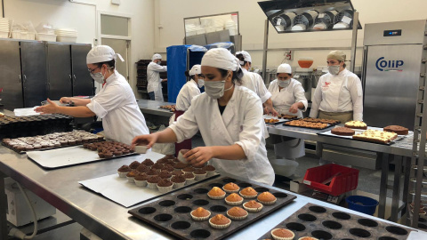 Neix l’Agència Pública de Formació i Qualificació Professionals de Catalunya (FPCAT)