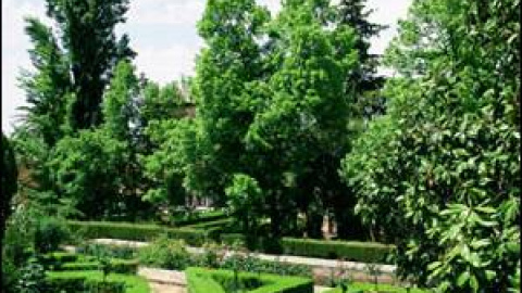 548af6860e43e.jpg 548af6860e43e.jpg