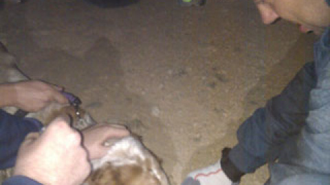 548b2296722d6.jpg 548b2296722d6.jpg