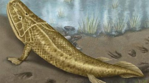 548b4fbd6d430.jpg 548b4fbd6d430.jpg