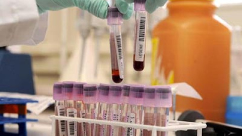 548b82017d673.jpg 548b82017d673.jpg