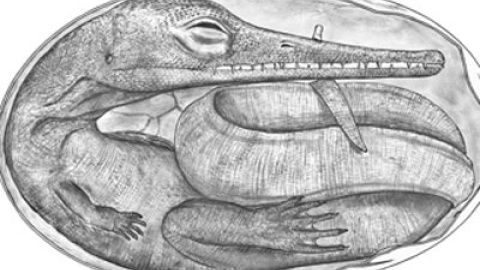 548b25ca157e1.jpg 548b25ca157e1.jpg