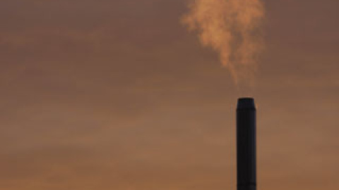 548afbe499d10.jpg 548afbe499d10.jpg