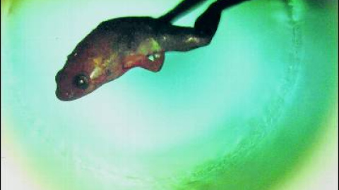 548bde7e631bb.jpg 548bde7e631bb.jpg