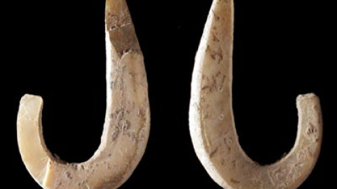 548afd181f67d.jpg 548afd181f67d.jpg