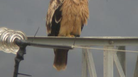 548afdfb585a9.jpg 548afdfb585a9.jpg