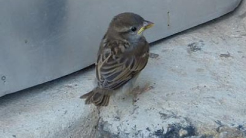 548b51ffcc642.jpg 548b51ffcc642.jpg