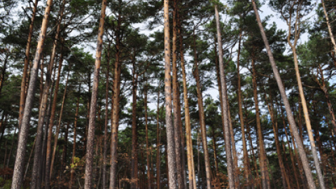 548afecd9a2d4.jpg 548afecd9a2d4.jpg