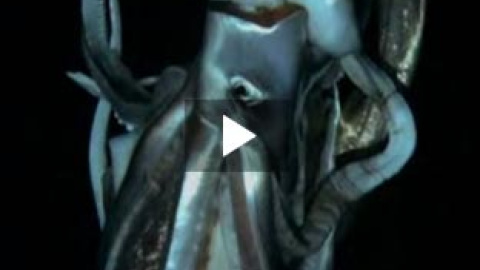 548b53458dd6b.jpg 548b53458dd6b.jpg