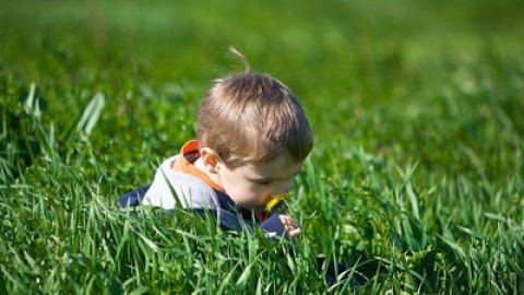 548acf1d230f3.jpg 548acf1d230f3.jpg