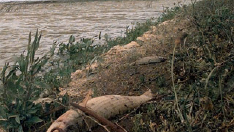 548b013ba2bff.jpg 548b013ba2bff.jpg