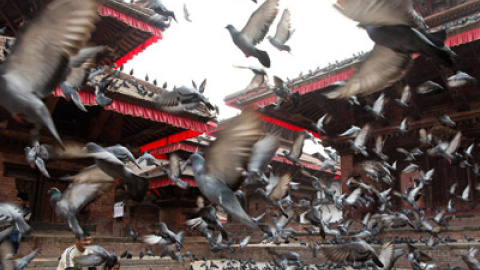 548b0189ca974.jpg 548b0189ca974.jpg