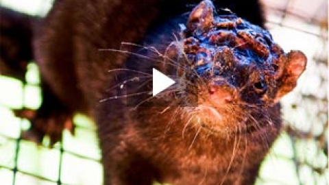 548be2e95683e.jpg 548be2e95683e.jpg