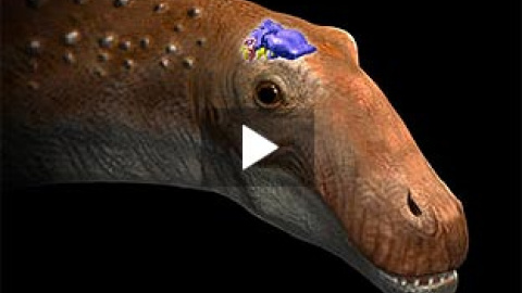 548b551f990d5.jpg 548b551f990d5.jpg