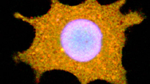 548be311747b2.jpg 548be311747b2.jpg