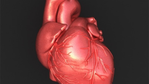 548b5594b1a9f.jpg 548b5594b1a9f.jpg