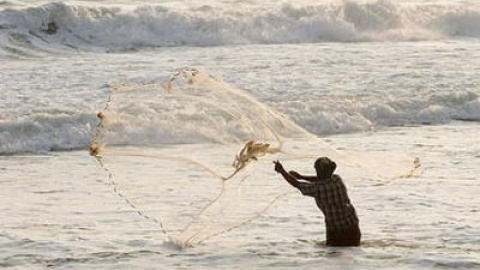 548b5595edb8a.jpg 548b5595edb8a.jpg