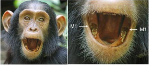 548b55b854e03.jpg 548b55b854e03.jpg