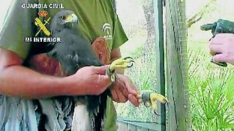 548c3b76031ad.jpg 548c3b76031ad.jpg