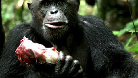 548bb9017c3ce.jpg 548bb9017c3ce.jpg