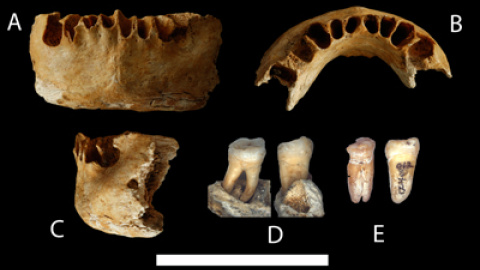 548be539d5abd.jpg 548be539d5abd.jpg