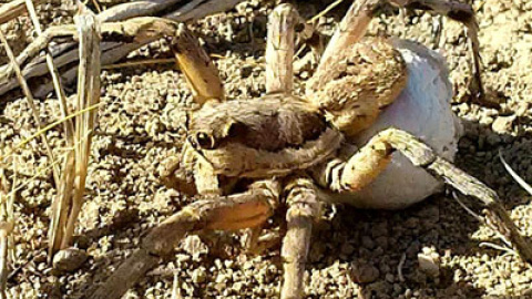 548ad4e67c396.jpg 548ad4e67c396.jpg