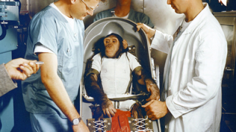 548b048511c0d.jpg 548b048511c0d.jpg