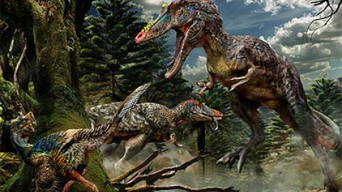 548ad5a6d0bc9.jpg 548ad5a6d0bc9.jpg