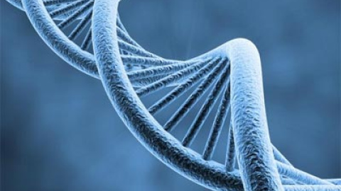 548ad5b938442.jpg 548ad5b938442.jpg