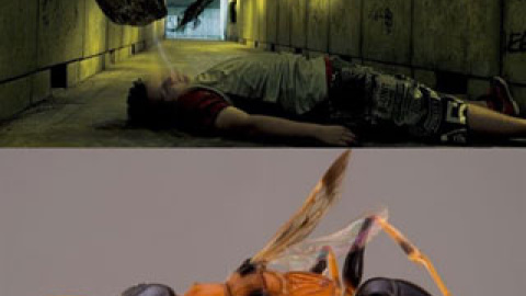 548ad5c3aa5b7.jpg 548ad5c3aa5b7.jpg