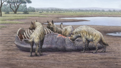 548c1321302e5.jpg 548c1321302e5.jpg