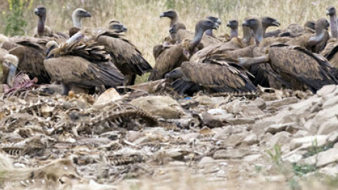 548b068fc2684.jpg 548b068fc2684.jpg