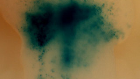 548c3f0448adc.jpg 548c3f0448adc.jpg