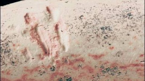 548bbc4317a99.jpg 548bbc4317a99.jpg