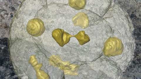 548b06e6b86df.jpg 548b06e6b86df.jpg