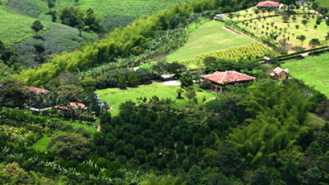 548c3f416c10f.jpg 548c3f416c10f.jpg