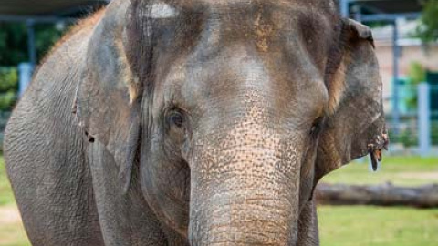 548ada3a016ed.jpg 548ada3a016ed.jpg