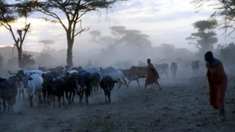 548b8ebb93313.jpg 548b8ebb93313.jpg