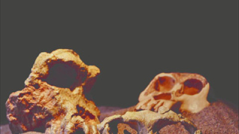 548c16e28d633.jpg 548c16e28d633.jpg