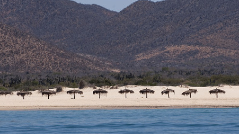 548c17363a802.jpg 548c17363a802.jpg