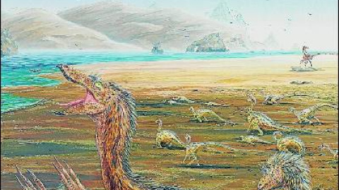 548c89ba21ad8.jpg 548c89ba21ad8.jpg