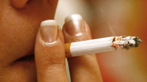 548c176b2cd6b.jpg 548c176b2cd6b.jpg