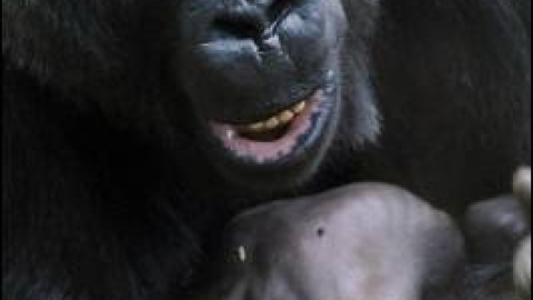 548b903d26db6.jpg 548b903d26db6.jpg