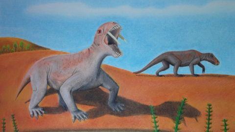 548c180937853.jpg 548c180937853.jpg