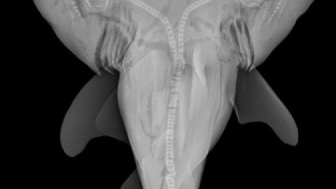 548b5d2c5e19d.jpg 548b5d2c5e19d.jpg