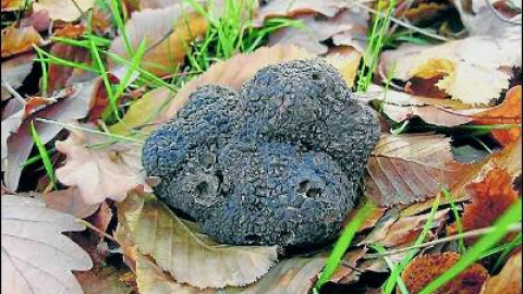 548b9199c9cc3.jpg 548b9199c9cc3.jpg